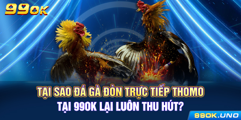 Tại sao đá gà đòn trực tiếp Thomo tại 99ok lại luôn thu hút?