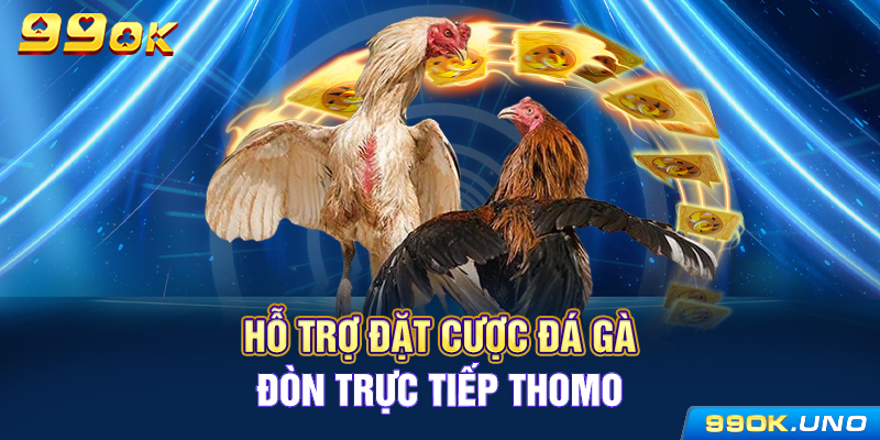 Hỗ trợ đặt cược đá gà đòn trực tiếp Thomo