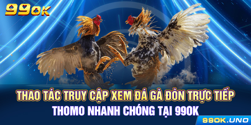 Thao tác truy cập xem đá gà đòn trực tiếp Thomo nhanh chóng tại 99ok